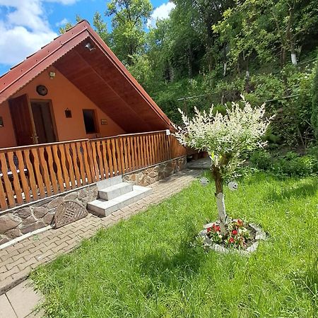 Casa Adimi Appartement Sighişoara Buitenkant foto